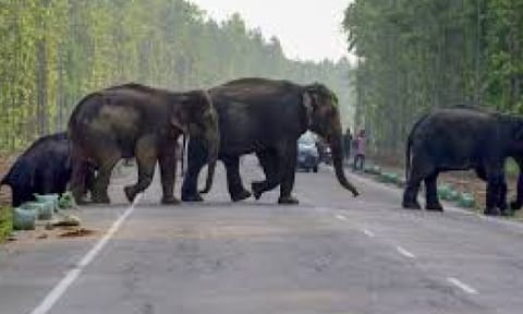 Representative Image (PTI) 