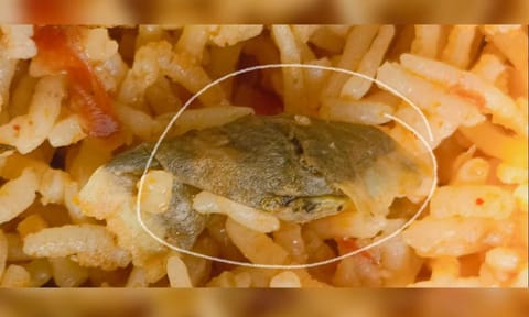 Customer finds mysterious substance in biriyani (Daily Thanthi)