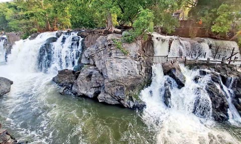  Rains in catchments increase inflow into Cauvery at Hogenakkal 