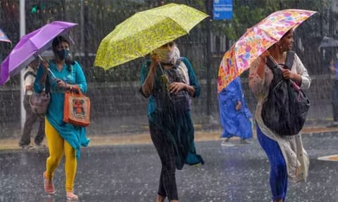 Representative Image (Daily Thanthi)