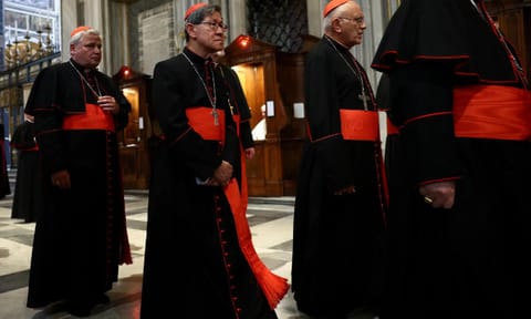 PAPABILE' OF THE DAYA: Contender for the papacy in the mold of Francis