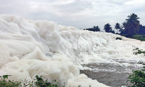 Foaming of Thenpennai river near Hosur in Krishnagiri 