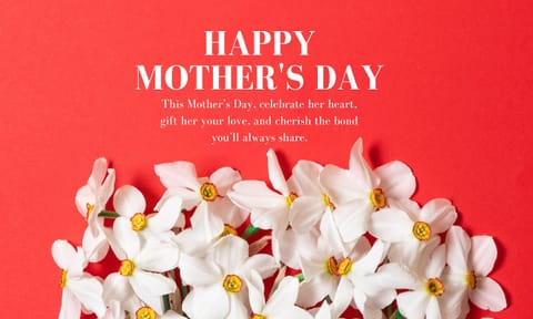 Mother's Day Special | From state support to heartfelt celebrity moments: Stories that celebrate motherhood