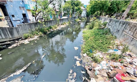 Garbage lines the canal that links to Cooum river
