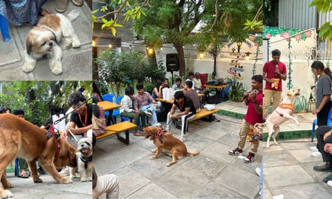 Pets with their ‘parents’ from the event 