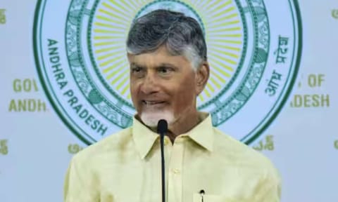 Andhra Pradesh Chief Minister N Chandrababu Naidu (PTI) 
