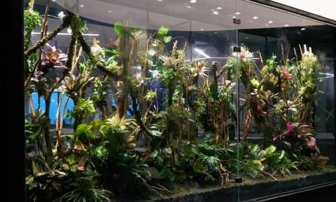 Terrarium created by Sai Krishnan 