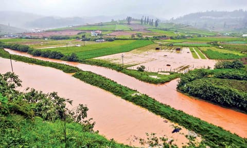 Heavy rains wreak havoc in Nilgiris district, disrupt normal life