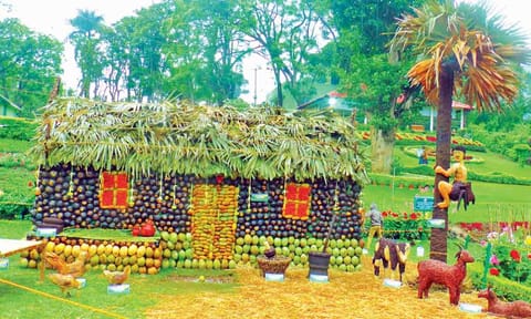 The models made of plantation crops exhibited at the three-day event in Kattery Park on Friday 