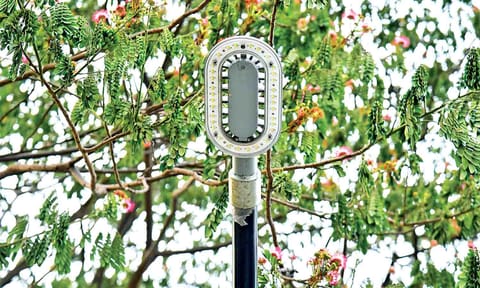 Representative image of street lights 