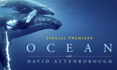 ''Ocean'' is David Attenborough''s greatest, most personal account yet: team behind Nat Geo documentary (AP) 