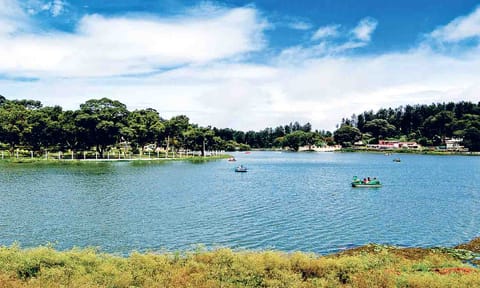 3D magic on water soon at Ooty, Yercaud lakes 