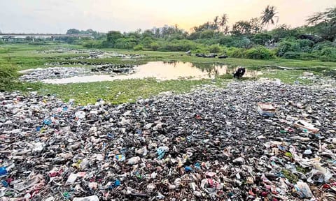  Cooum River near Tiruvallur Railway Station