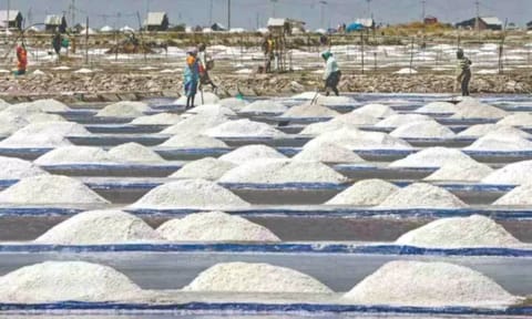 Salt pans in Thoothukudi