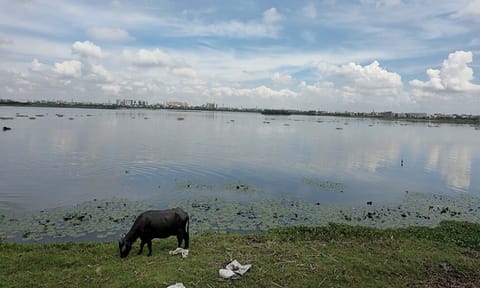 Korattur lake 