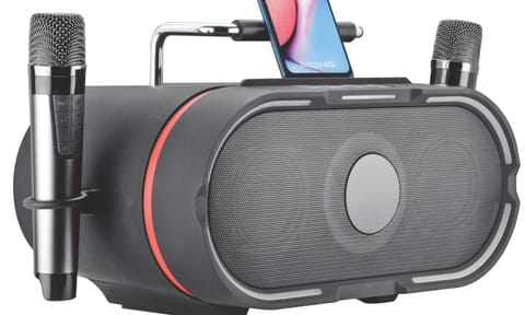  Croma 100W RMS Bluetooth Speaker