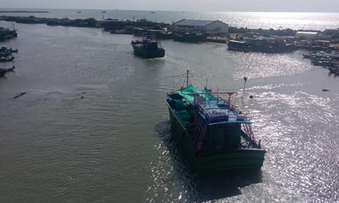 Mechanised boats venturing into the sea from Nagapattinam 