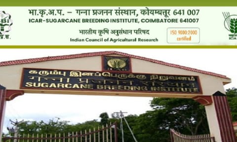 ICAR-Sugarcane Breeding Institute (SBI), Coimbatore 