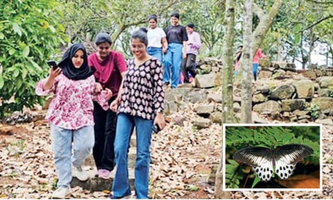 Participants of Green Walk conducted by Thanneer Organisation. (inset) Blue Mormon also known as dragon butterflies