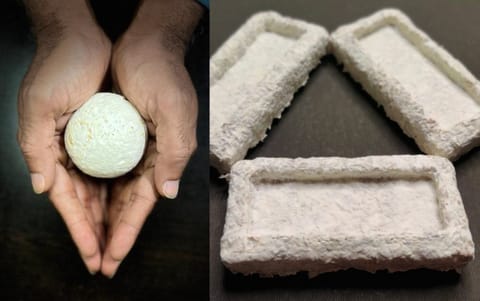Mycelium can play significant role in the future of the biodegradable materials (photo credit: Naturewrks Technologies Ltd)