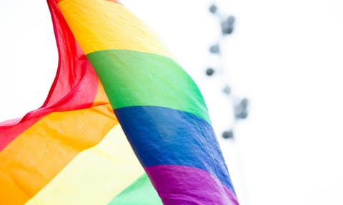 Pride flag pic used for representative purposes (Pexels) 
