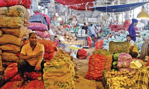Domestic strength: A shield for India from tariff shocks