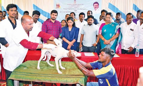 Mayor R Priya and senior officials at the launch of the Corporation’s 60-day vaccination drive 