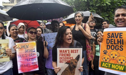 TV actor Mona Vasu, front center, and activists of various animal rights organisations protest against the recent order by the Supreme Court to authorities in Delhi-National Capital Region (NCR) to start picking up stray dogs from all localities "at the earliest" and relocate the animals to dog shelters, in Mumbai, Thursday, Aug. 14, 2025 (PTI) 