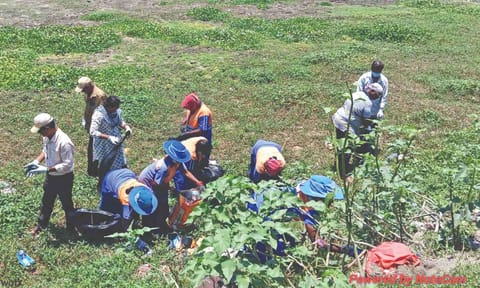 Workers and volunteers picking up the garbage around the waterbody on Wednesday.
