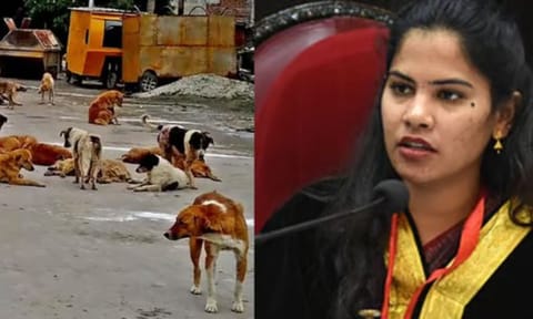 Representative Image; Mayor Priya 