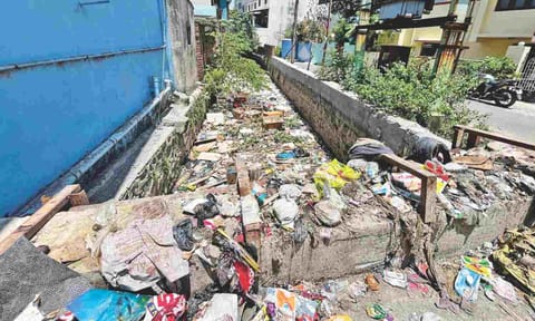 Garbage floating in the Thanikachalam Nagar drain in Kolathur
