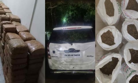 Narcotics Control Bureau seizes 590 kg ganja in Tamil Nadu 