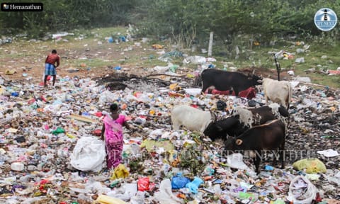 Chennai’s rag pickers to get alternative livelihood as door-to-door waste collectors
