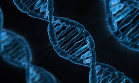 1% of people don’t have sex. New research shows it may be partly genetic