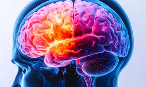 Link between vascular disease, dementia risk overlooked: Study