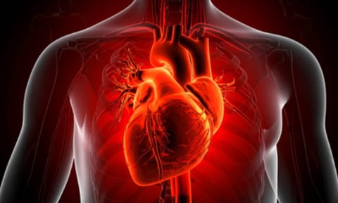 Cardiovascular diseases (IANS)