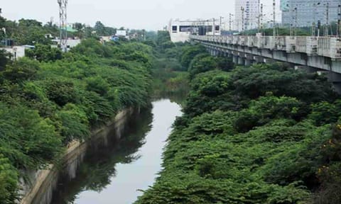 Buckingham Canal 