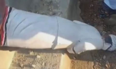 MGR statue vandalised in Madurai 
