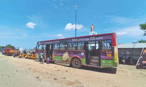 Pic from Pulicat area