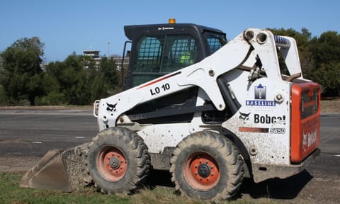 Bobcat 