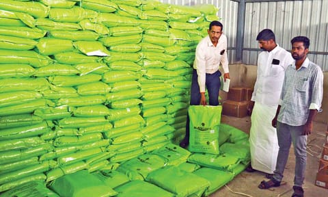 Agricultural (Quality Control) Assistant Director Selvarasu inspecting a godown in Thanjavur on Friday