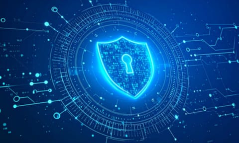 DPDPA marks a step in building a trustworthy and future-ready digital environment (IANS)