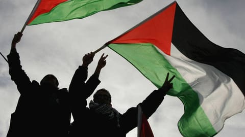 Representative Image of Palestine 