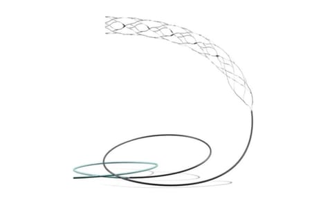 The Supernova Stent (IANS) 