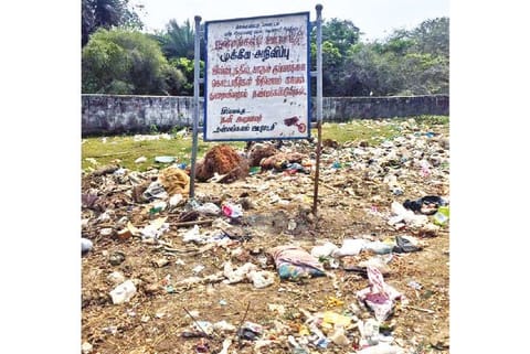 Garbage dumped near the lake
