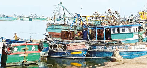 Boats anchored at shore in Rameswaram on Monday