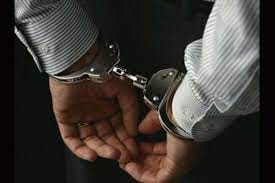 Couple cheats bizman of Rs 12.50 cr, woman held