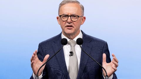Antony Albanese