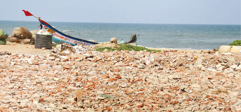 The turtle nesting area is only 500 metres away from the place where debris was dumped on Neelankarai beach