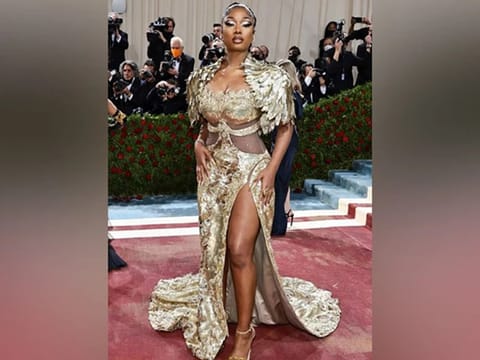American rapper Megan Thee Stallion